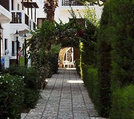 Lysithea 2* 라르나카